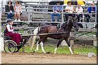 4H-2nd--072813-1500.jpg