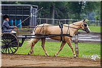 4H-2nd--072813-1501.jpg