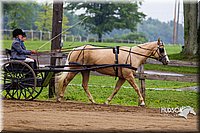 4H-2nd--072813-1502.jpg