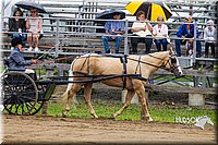 4H-2nd--072813-1504.jpg
