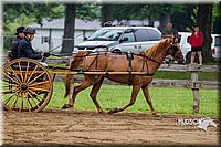4H-2nd--072813-1505.jpg
