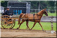 4H-2nd--072813-1506.jpg