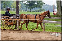 4H-2nd--072813-1507.jpg