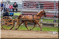 4H-2nd--072813-1508.jpg