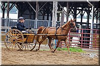 4H-2nd--072813-1509.jpg