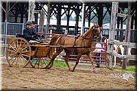 4H-2nd--072813-1510.jpg