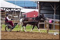 4H-2nd--072813-1511.jpg