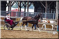 4H-2nd--072813-1512.jpg
