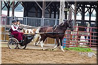 4H-2nd--072813-1513.jpg