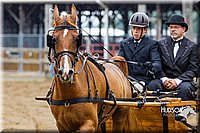 4H-2nd--072813-1514.jpg