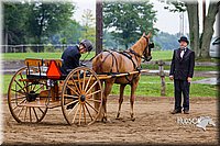 4H-2nd--072813-1520.jpg