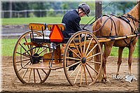4H-2nd--072813-1522.jpg