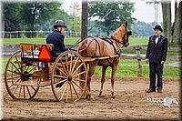 4H-2nd--072813-1523.jpg