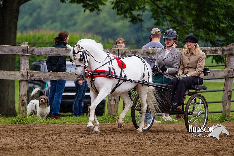 4H-2nd--072813-1530.jpg