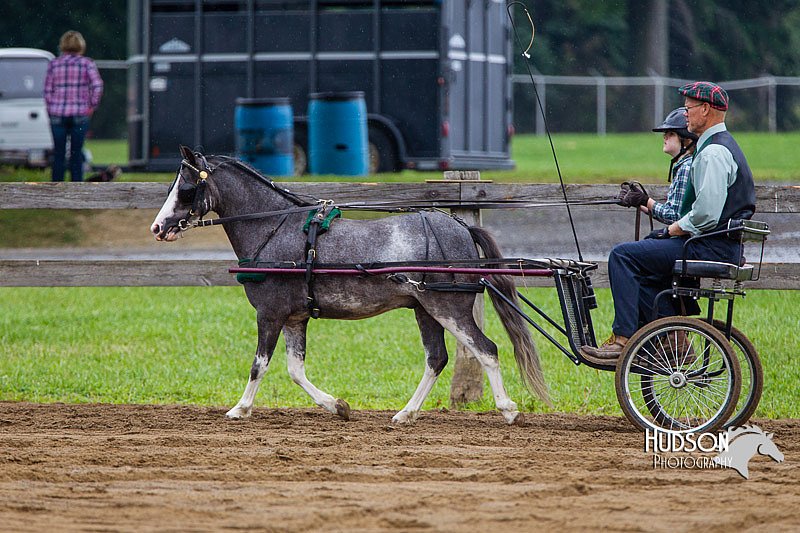 4H-2nd--072813-1536.jpg