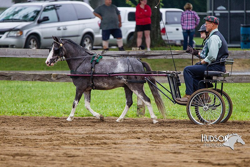 4H-2nd--072813-1537.jpg