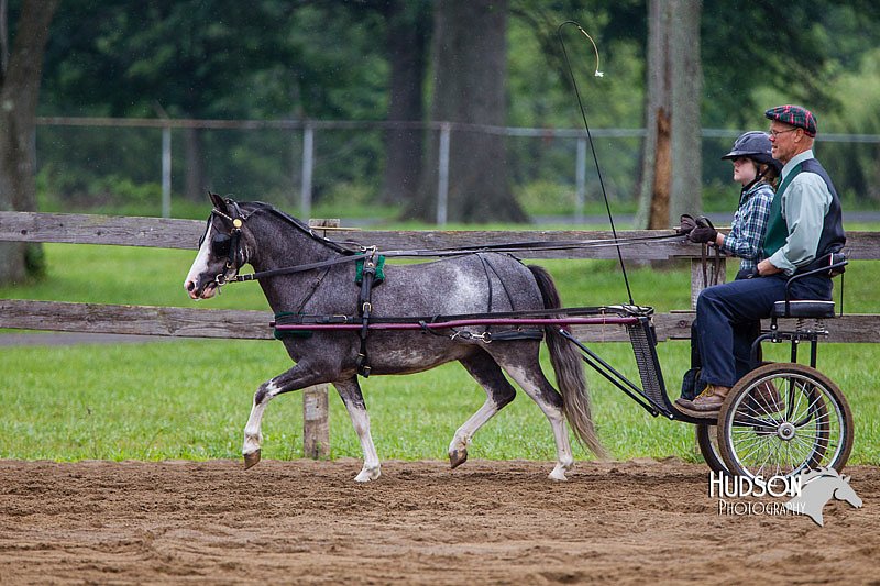 4H-2nd--072813-1539.jpg