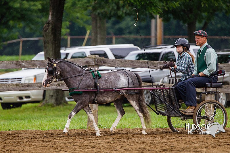4H-2nd--072813-1540.jpg
