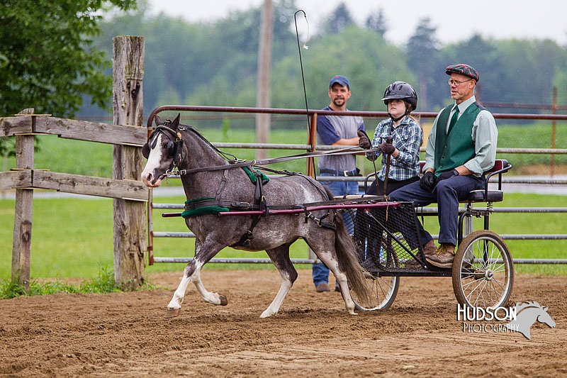 4H-2nd--072813-1543.jpg