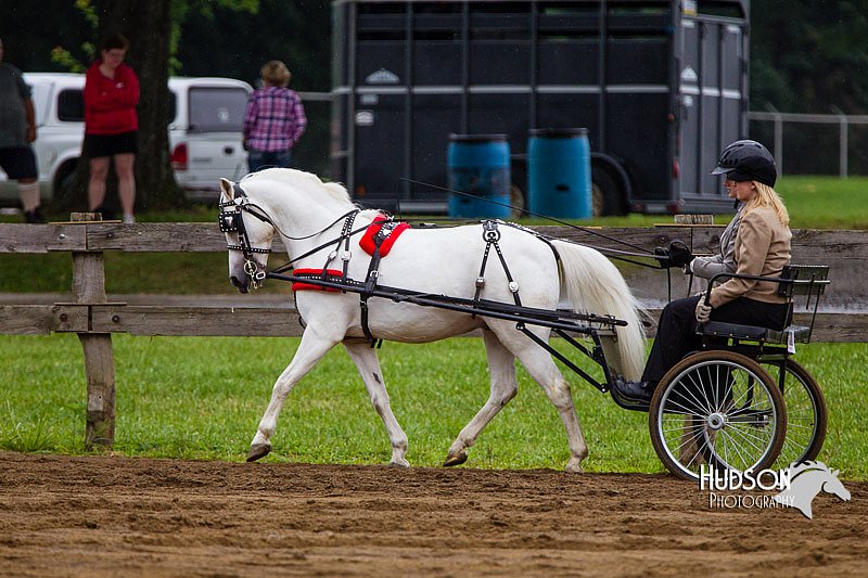 4H-2nd--072813-1544.jpg