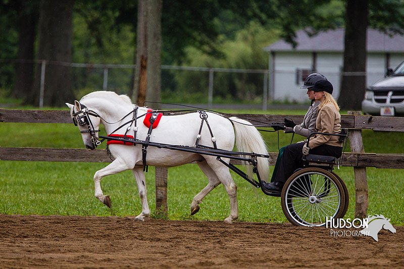 4H-2nd--072813-1546.jpg