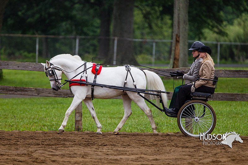 4H-2nd--072813-1547.jpg