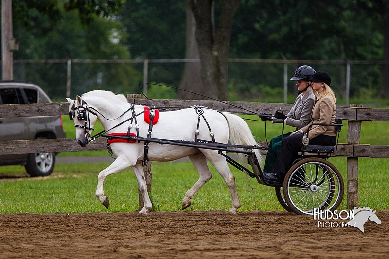 4H-2nd--072813-1548.jpg