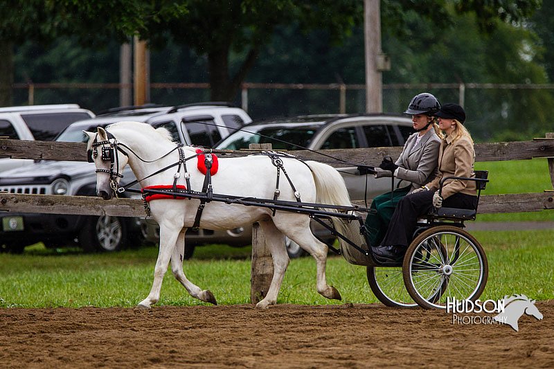 4H-2nd--072813-1549.jpg