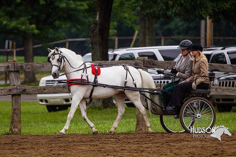 4H-2nd--072813-1550.jpg