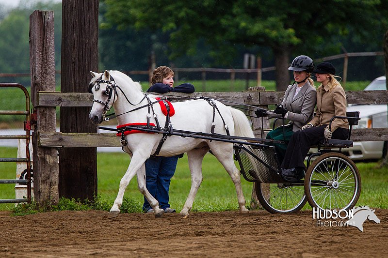 4H-2nd--072813-1551.jpg
