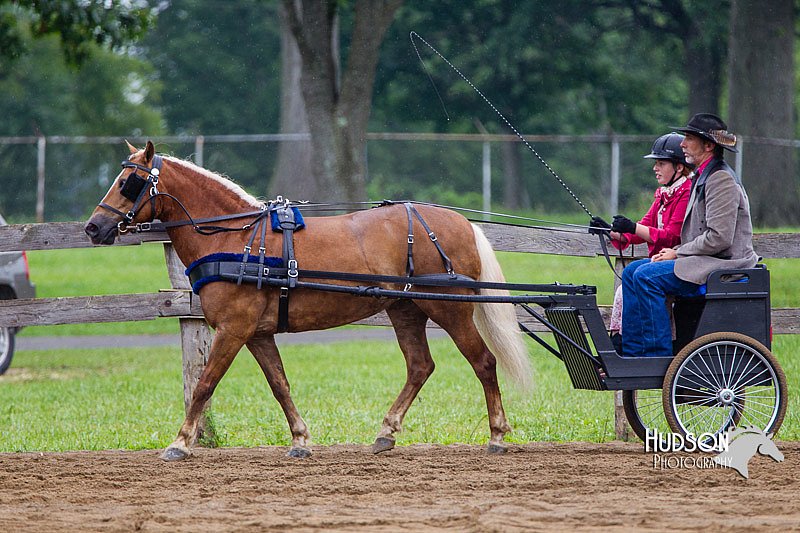 4H-2nd--072813-1553.jpg