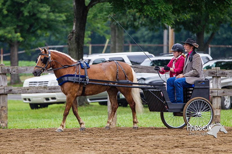 4H-2nd--072813-1555.jpg