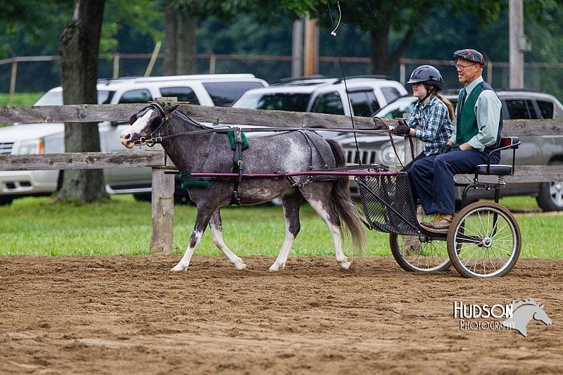 4H-2nd--072813-1558.jpg