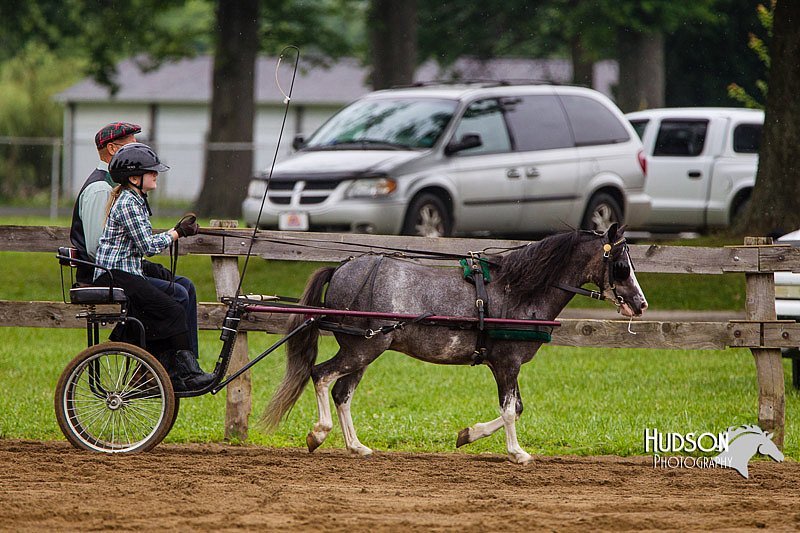 4H-2nd--072813-1560.jpg