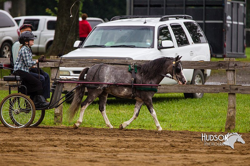 4H-2nd--072813-1561.jpg