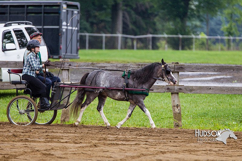 4H-2nd--072813-1562.jpg