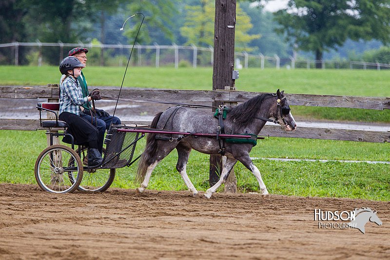 4H-2nd--072813-1563.jpg