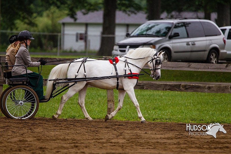 4H-2nd--072813-1565.jpg
