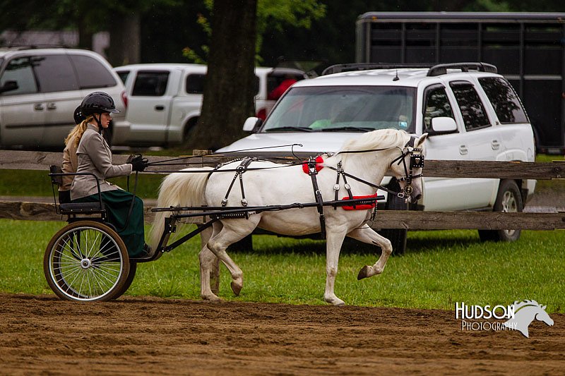 4H-2nd--072813-1566.jpg