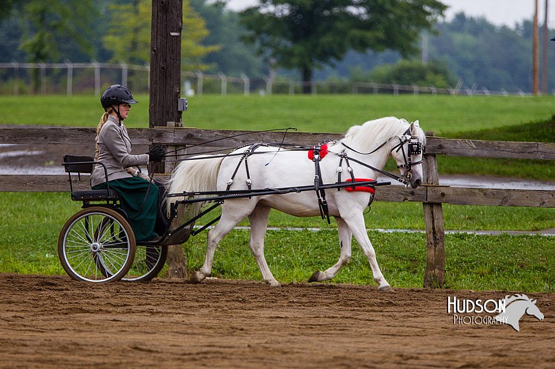 4H-2nd--072813-1567.jpg