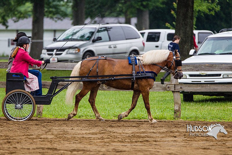 4H-2nd--072813-1568.jpg