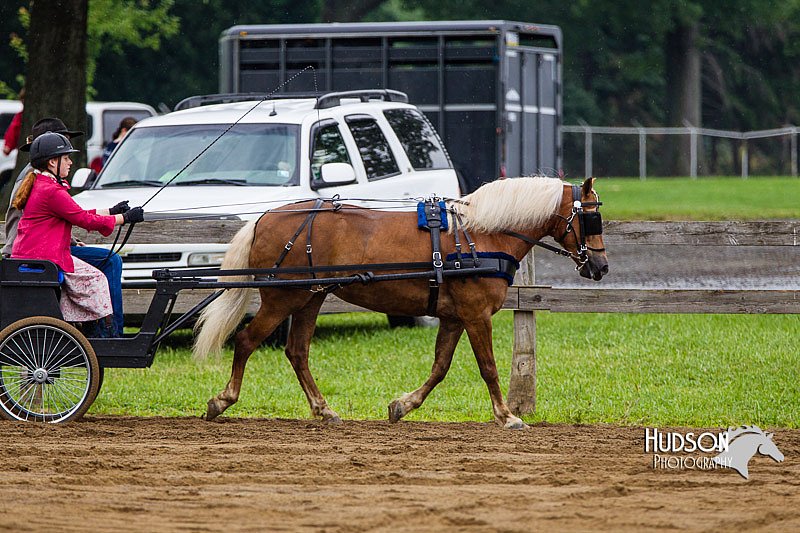 4H-2nd--072813-1569.jpg