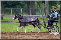 4H-2nd--072813-1539.jpg