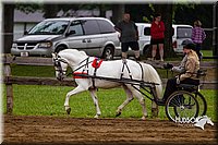 4H-2nd--072813-1545.jpg