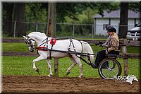4H-2nd--072813-1546.jpg