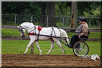 4H-2nd--072813-1547.jpg