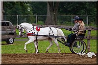 4H-2nd--072813-1548.jpg