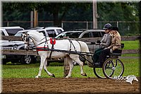 4H-2nd--072813-1549.jpg