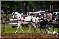 4H-2nd--072813-1550.jpg