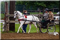 4H-2nd--072813-1551.jpg